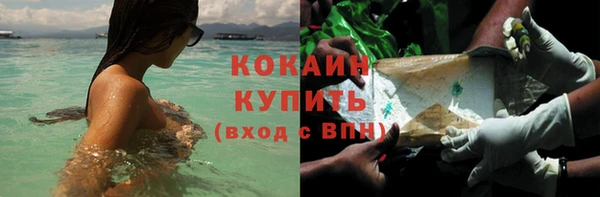 шишки Липки