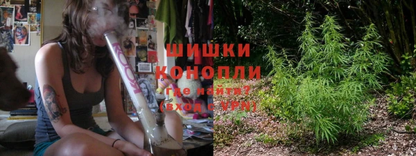 шишки Липки