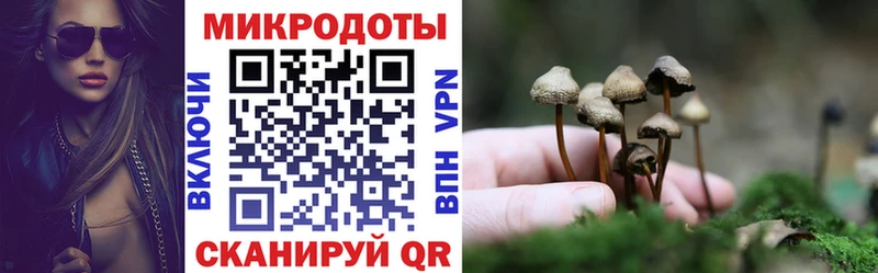 купить наркотики сайты  нарко площадка наркотические препараты  Псилоцибиновые грибы Psilocybine cubensis  Никольское 